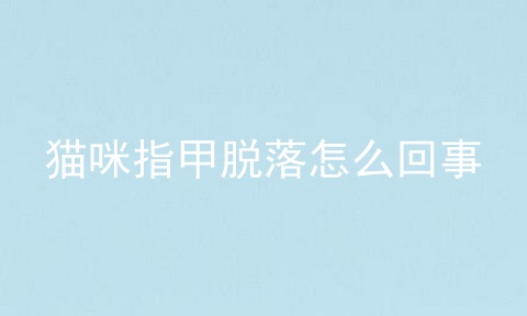 猫咪指甲脱落怎么回事