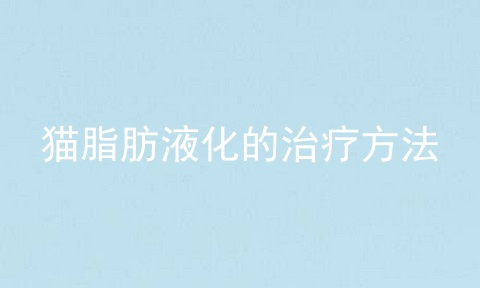 猫脂肪液化的治疗方法