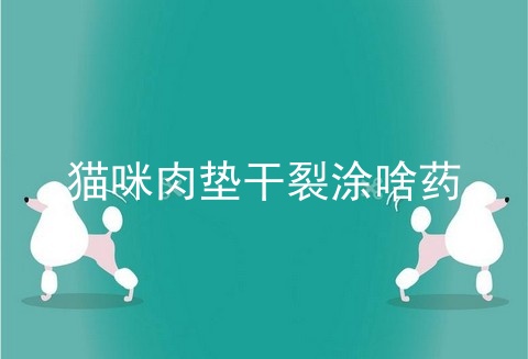 猫咪肉垫干裂涂啥药