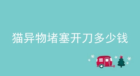猫异物堵塞开刀多少钱