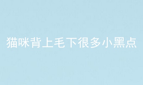 猫咪背上毛下很多小黑点