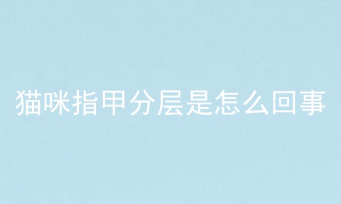 猫咪指甲分层是怎么回事