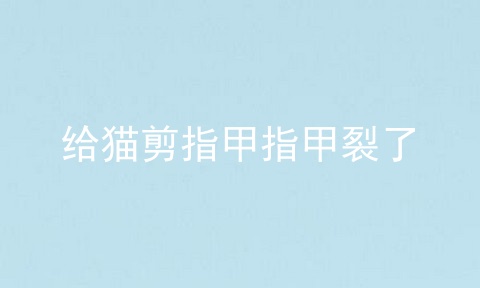给猫剪指甲指甲裂了
