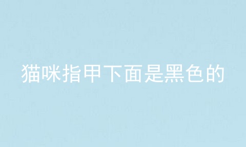 猫咪指甲下面是黑色的