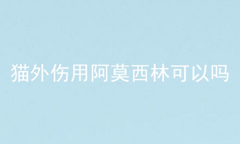 猫外伤用阿莫西林可以吗
