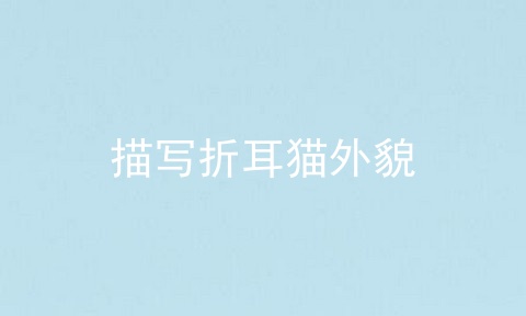描写折耳猫外貌