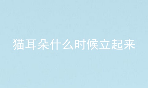 猫耳朵什么时候立起来