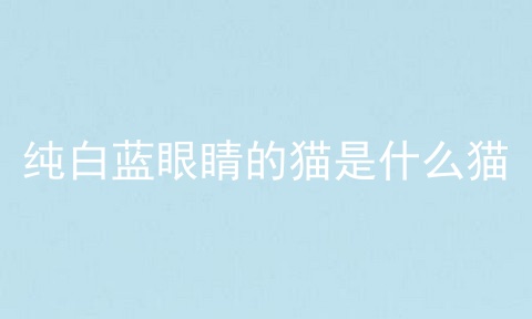 纯白蓝眼睛的猫是什么猫