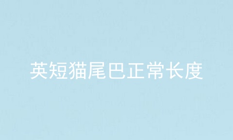 英短猫尾巴正常长度