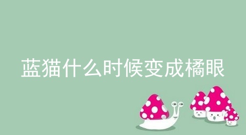 蓝猫什么时候变成橘眼