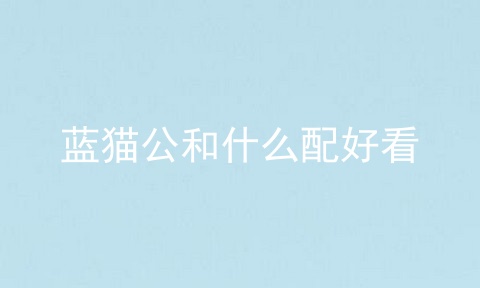 蓝猫公和什么配好看
