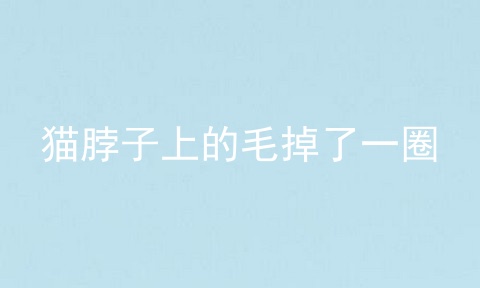 猫脖子上的毛掉了一圈
