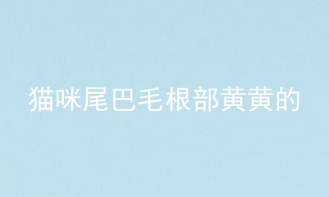 猫咪尾巴毛根部黄黄的