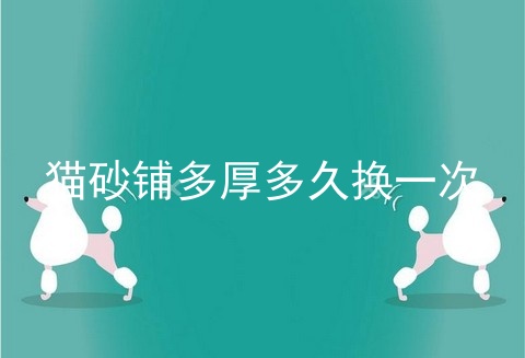 猫砂铺多厚多久换一次