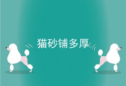 猫砂铺多厚