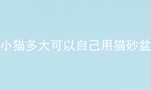小猫多大可以自己用猫砂盆