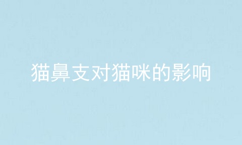 猫鼻支对猫咪的影响