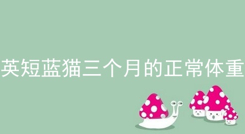<a href=/cat/13.html target=_blank class=infotextkey>英短</a>蓝猫三个月的正常体重