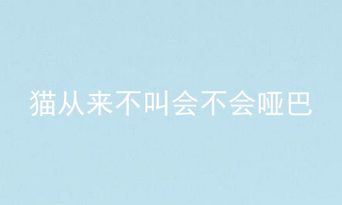 猫从来不叫会不会哑巴