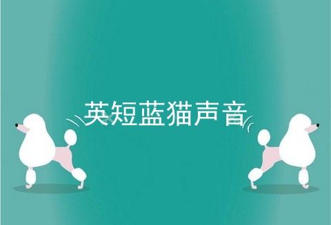 英短蓝猫声音