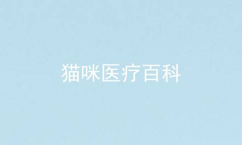 猫咪医疗百科