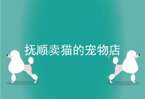 抚顺卖猫的宠物店