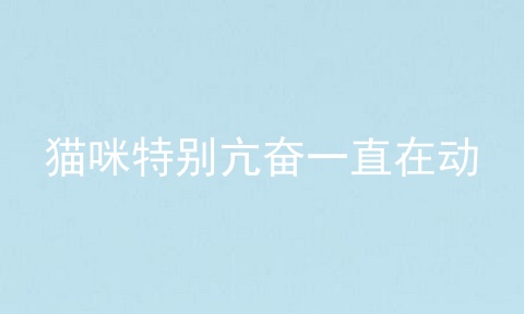 猫咪特别亢奋一直在动