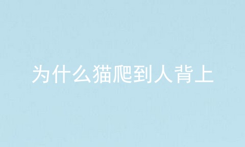 为什么猫爬到人背上