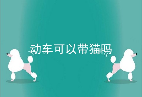 动车可以带猫吗