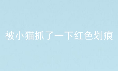 被小猫抓了一下红色划痕