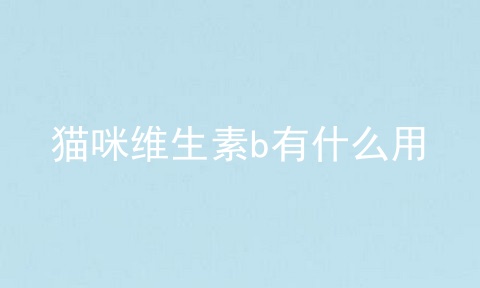 猫咪维生素b有什么用