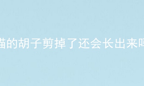 猫的胡子剪掉了还会长出来吗