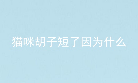 猫咪胡子短了因为什么