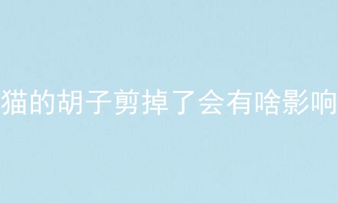 小猫的胡子剪掉了会有啥影响吗