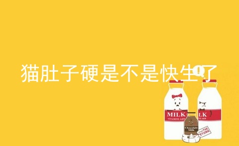 猫肚子硬是不是快生了