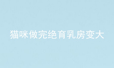 猫咪做完绝育乳房变大