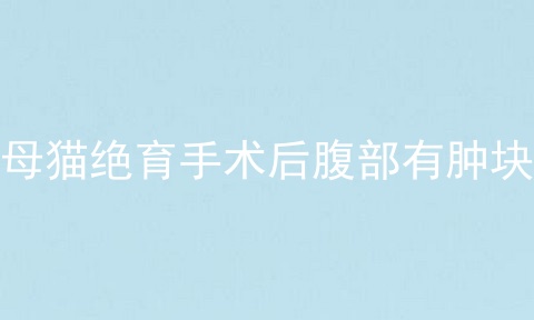 母猫绝育手术后腹部有肿块