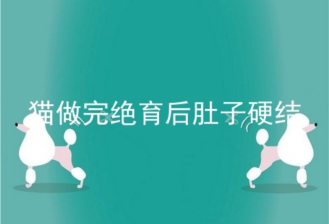 猫做完绝育后肚子硬结