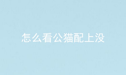 怎么看公猫配上没