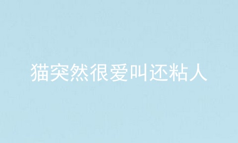 猫突然很爱叫还粘人