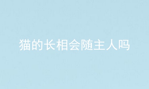 猫的长相会随主人吗