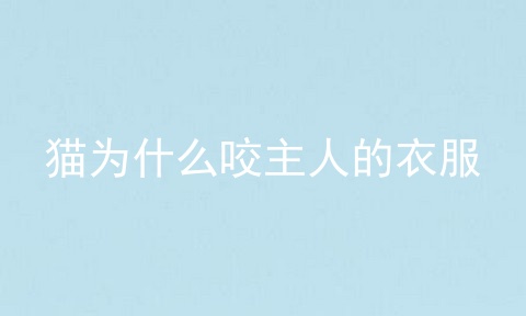 猫为什么咬主人的衣服