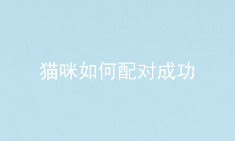猫咪如何配对成功