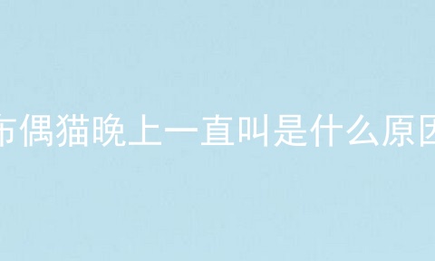 布偶猫晚上一直叫是什么原因