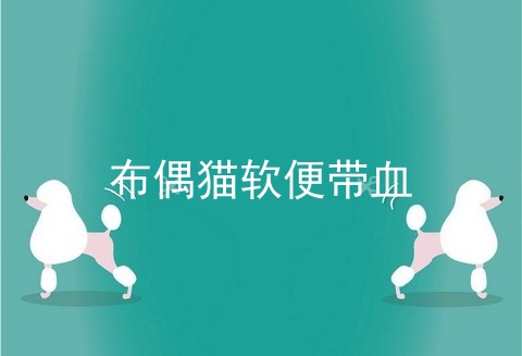 布偶猫软便带血