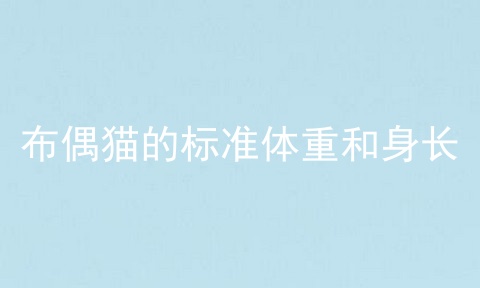 布偶猫的标准体重和身长