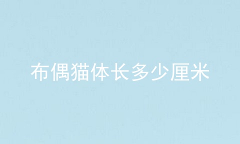 布偶猫体长多少厘米