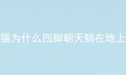 猫为什么四脚朝天躺在地上