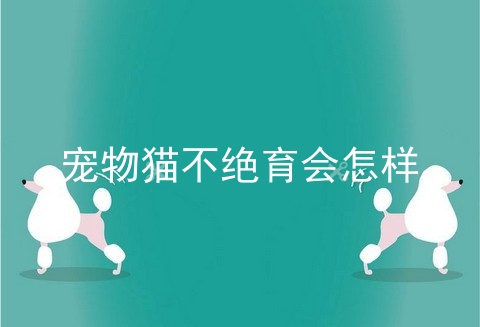 宠物猫不绝育会怎样