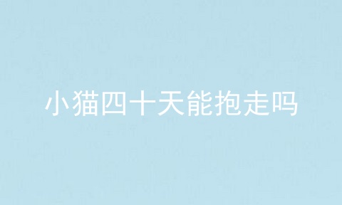 小猫四十天能抱走吗